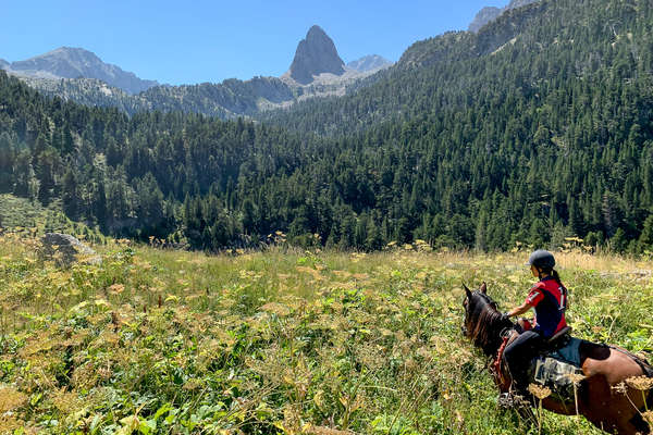 Rider in a meadow in the Spanish Pyrenees