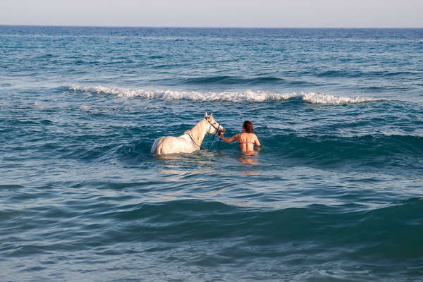 Rider leading her horse into the sea