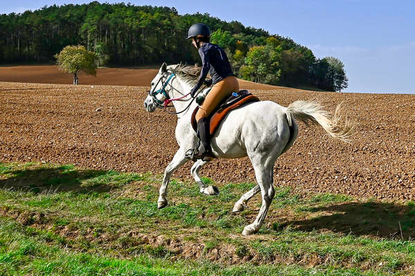 Rider on an athletic trail ride in France