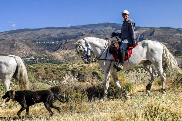 Rider on horseback accompanied by a dog