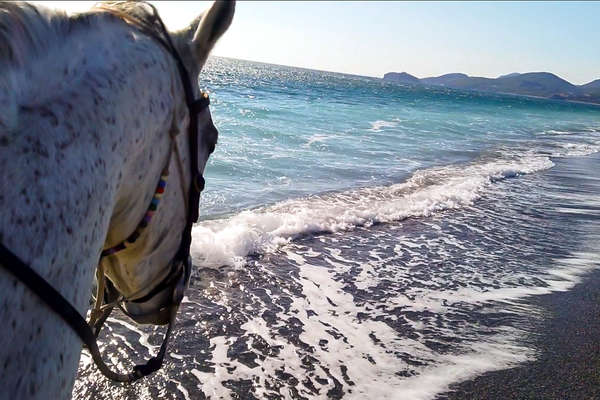Rider riding along the beach in Turkey