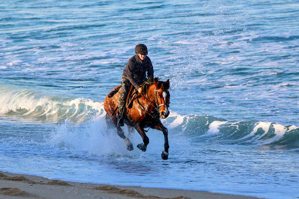 Rider riding her horse into the sea in the Alentejo