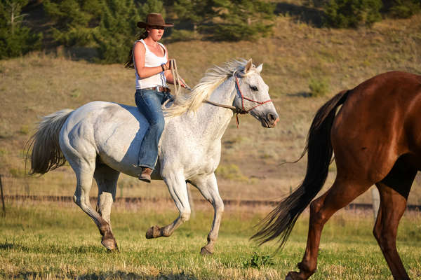 Rider riding tackless on a ranch vacation