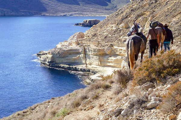 Rider standing next to his horse in Spain