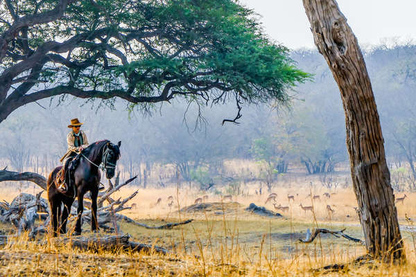 Rider taking a break beneath a tree in Zimbabwe