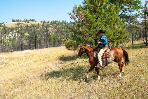 Rider western riding in Wyoming