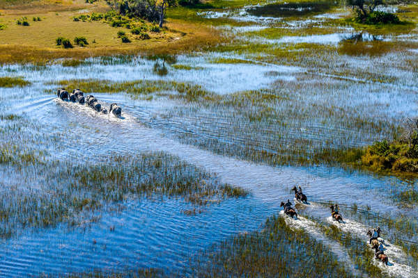 Riders after elephants in the Okavango, Botswana