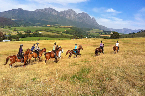 Riders along the Cape Winelands trail ride