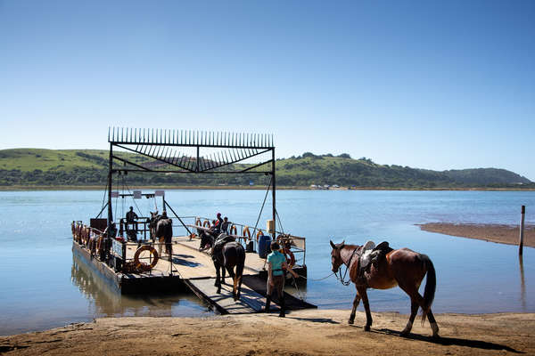 Riders and horses abroad the ferry