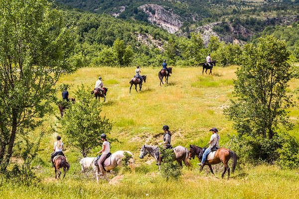 Riders and horses in a plain 