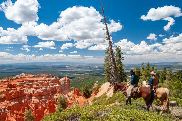 Riders and horses overlooking Grand Canyon