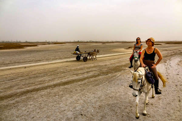 Riders and horses walking peacefully in Senegal