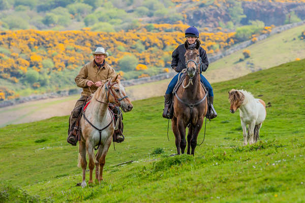 Riders and loose horse enjoying a break in Devon