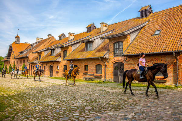 Riders arriving to the stables after a nice trail ride