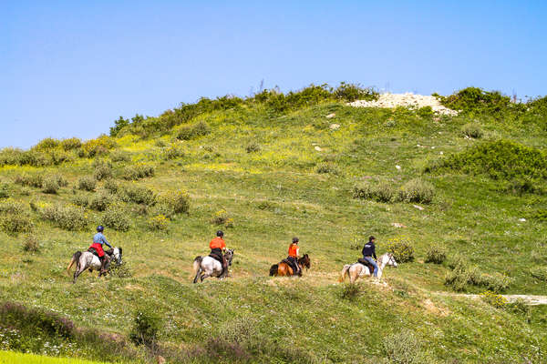 Riders cantering in the meadows of Albania