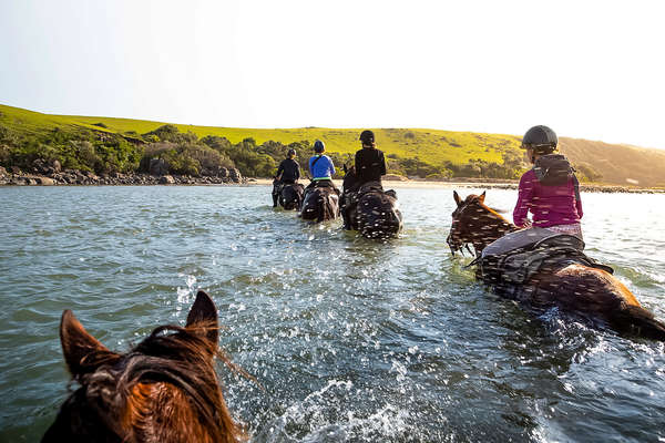 Riders crossing a river in South Africa
