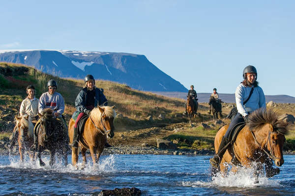 Riders crossing an Icelandic river on horseback