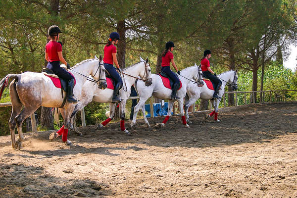 Riders during a dressage lesson in Italy