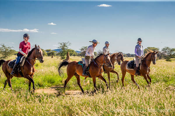 Riders enjoying a canter in Namibia, Okapuka lodge