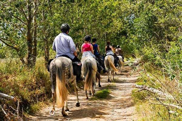 Riders enjoying a trail ride in the woods of Andalucia