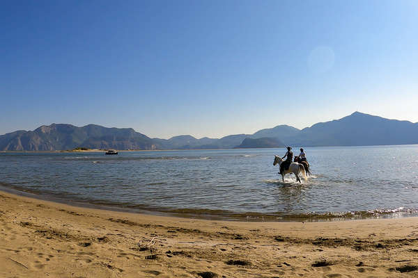 Riders entering the sea in Southern Turkey