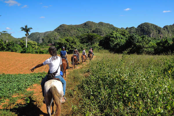 Riders following a trail between fields in Cuba