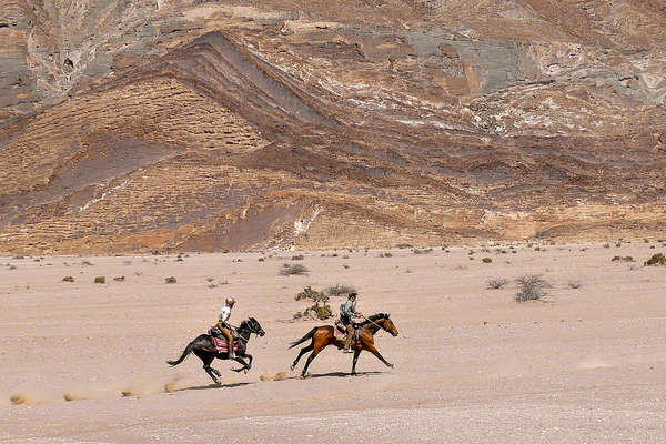 Riders galloping in a desert in Namibia