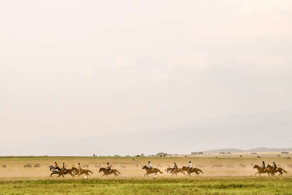 Riders galloping wth wildlife in Tanzania