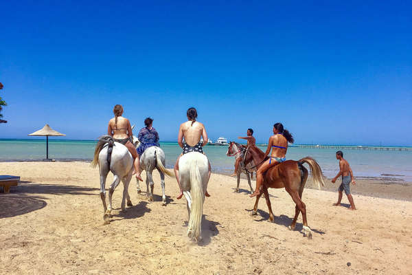Riders going into the sea on horseback, Read Sea