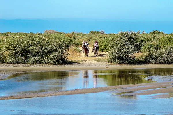 Riders heading for the water in the Sine Saloum
