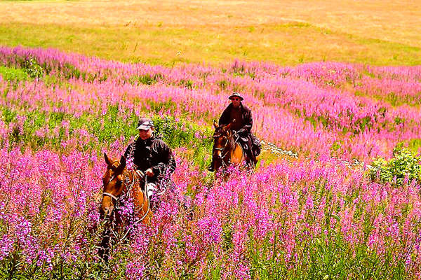 Riders in Auvergne