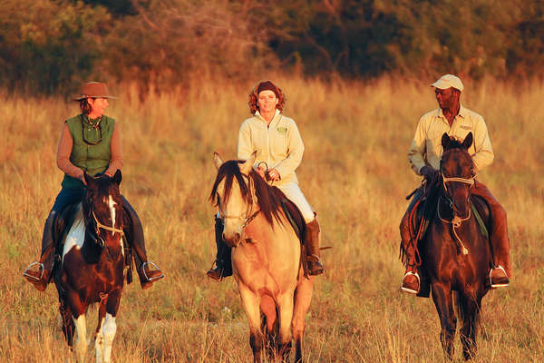 Riders in Hwange at sun set