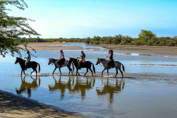 Riders in the Delta of the Sine Saloum