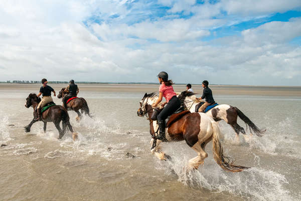 Riders mounted on Irish cobs on a trail riding vacation