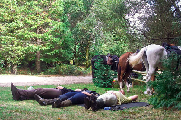 Riders on a horseback holiday having a nap at lunchtime with their horses behind them