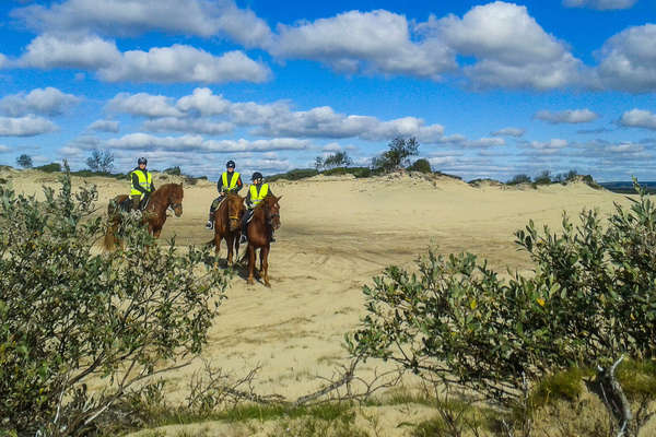 Riders on a riding holiday in Finland, northern Europe