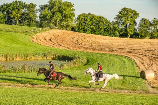 Riders on a riding holiday in Polish countryside