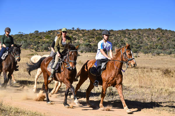 Riders on a riding safari in Entabeni conservancy, South Africa