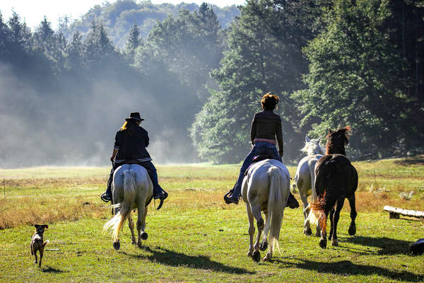 Riders on a trail ride in italy