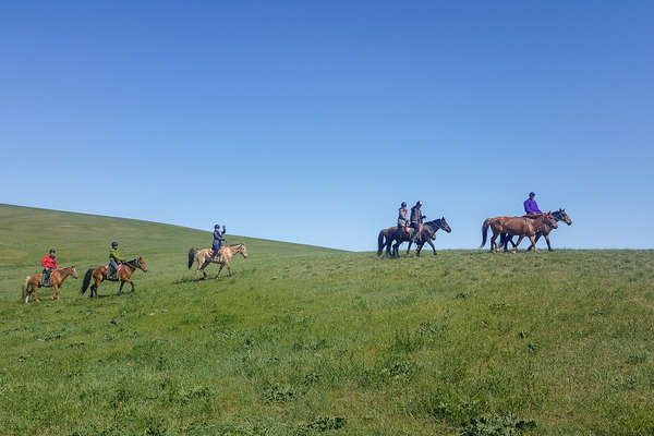 Riders on a trans-mongolia riding holiday
