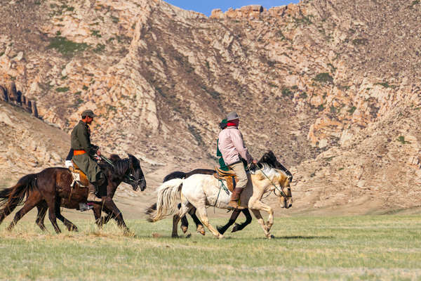 Riders on horseback in Mongolia