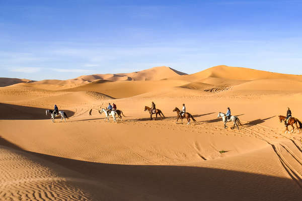 Riders on horseback in sand dunes, Sahara desert