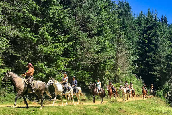 Riders on horseback in the forest in Bulgaria