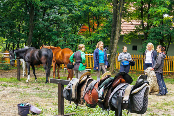 Riders ready for a trail ride in Hungary
