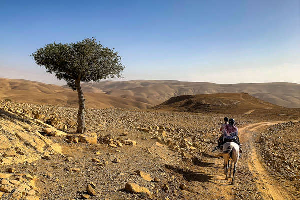 Riders riding along a desert trail in Jordan