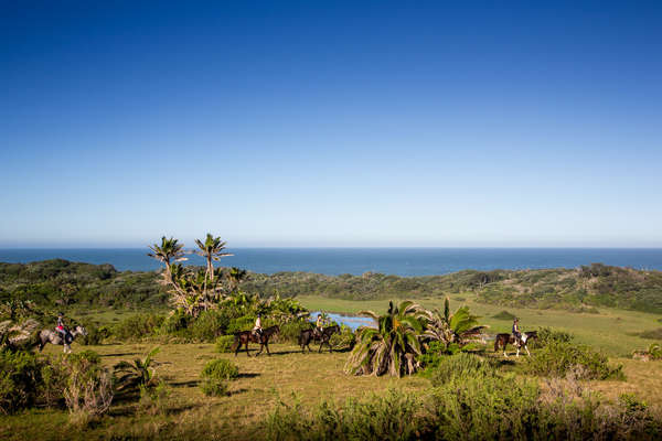 Riders riding alongside the Wild Coast, South Africa