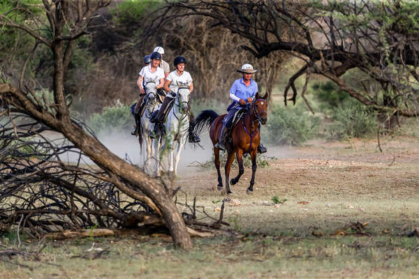 Riders riding Arabian horses on an Okapuka riding safari in Africa