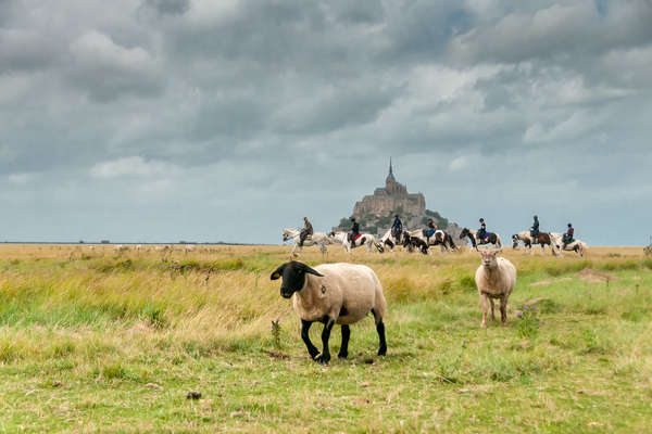 Riders riding by the Mt St Michel in France