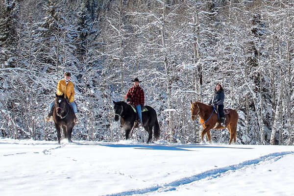 Riders riding in the snow in Alberta, CANADA