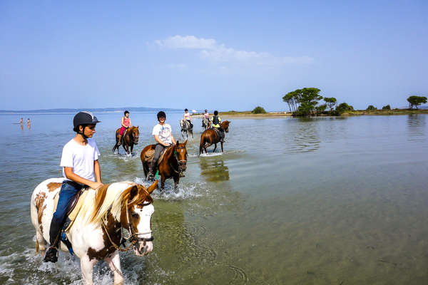 Riders riding in the water in Sardinia